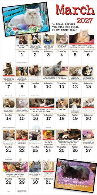 Bad Cat Wall Calendar 2027
