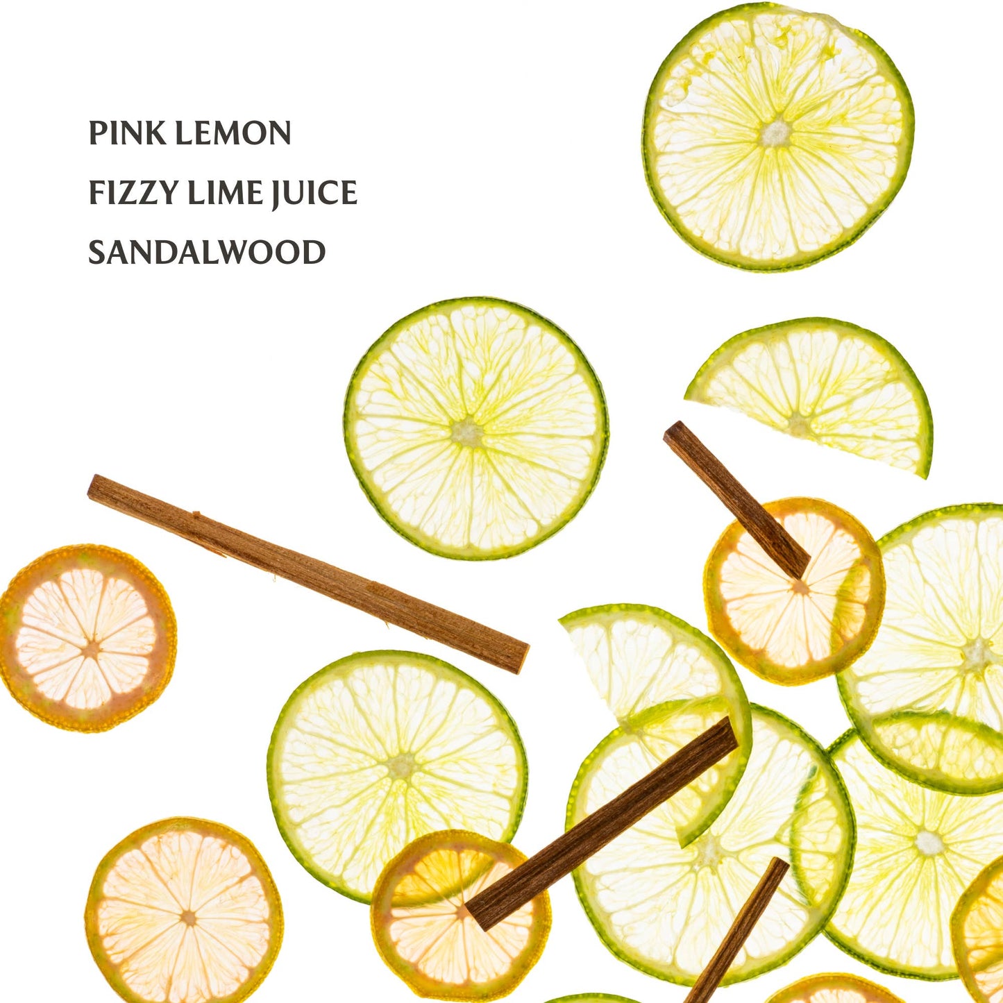 Lemon Lime Spritz Power Mist Hydrating Hand Sanitizer - Persnickety Shop