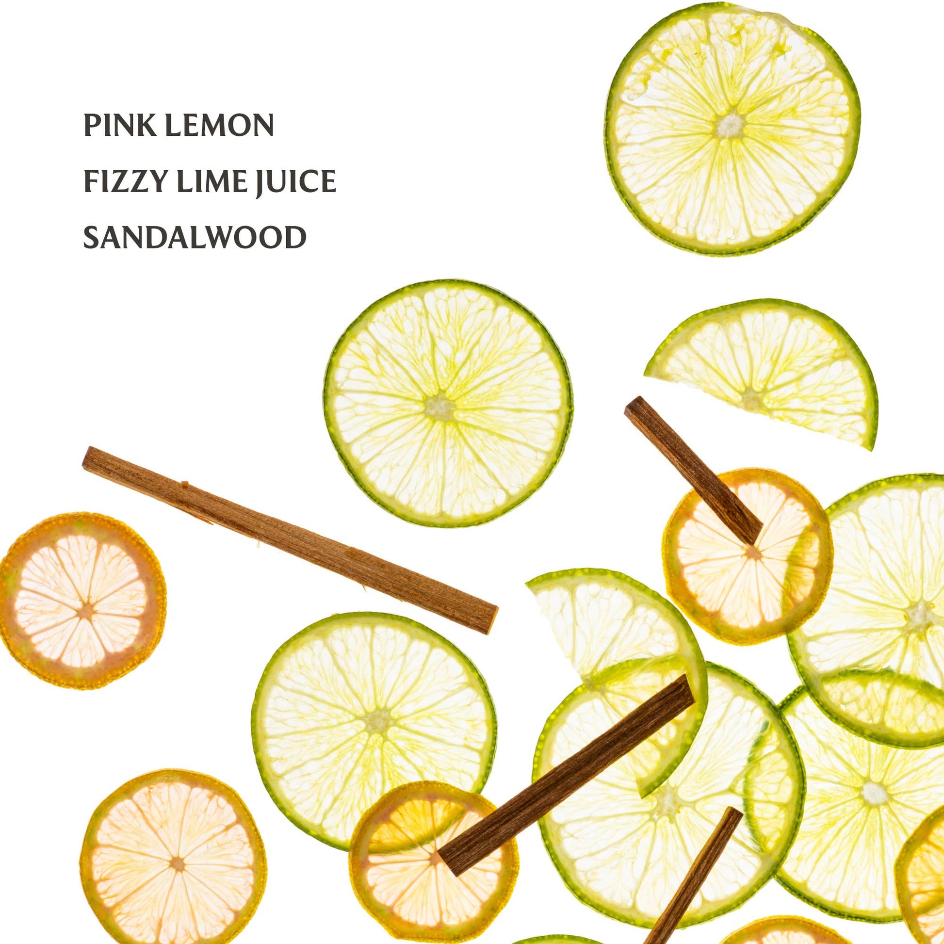 Lemon Lime Spritz Power Mist Hydrating Hand Sanitizer - Persnickety Shop