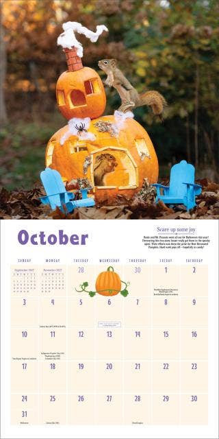 Secret Life of Squirrels Wall Calendar 2027