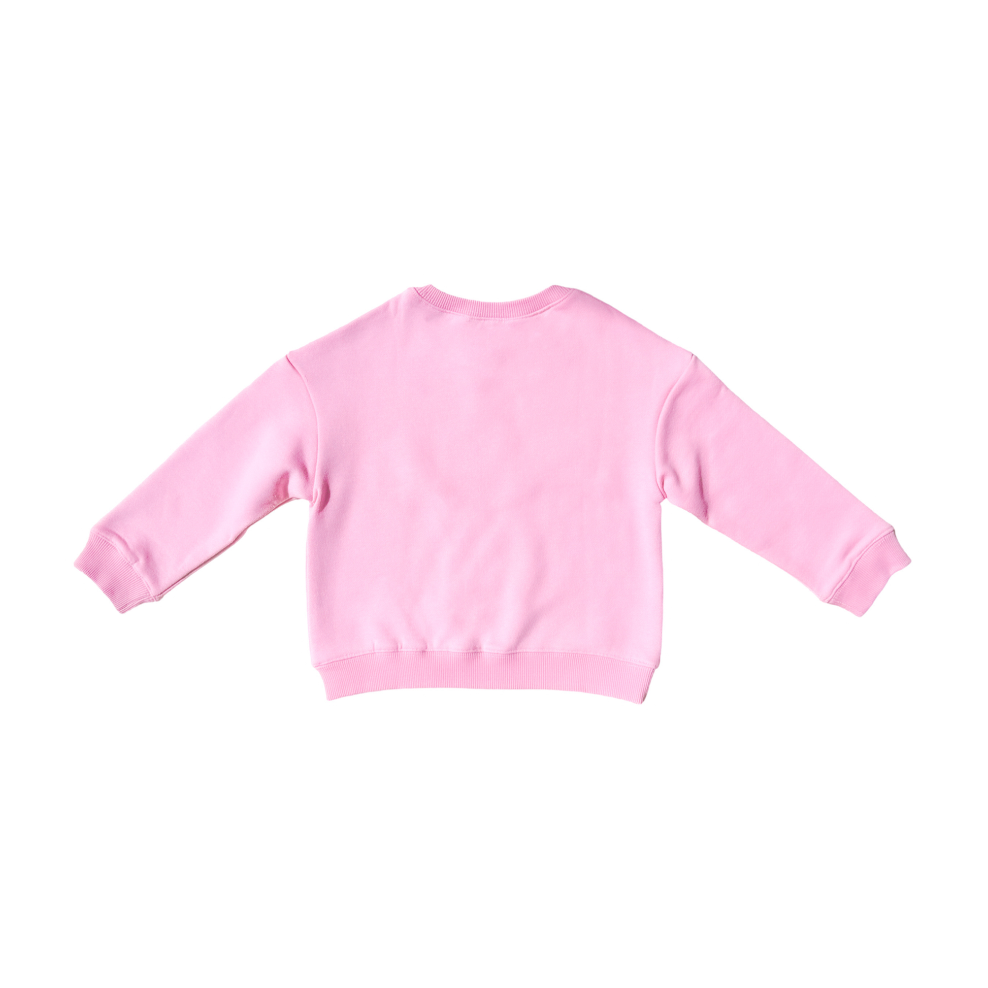 Big Sis Sweatshirt (sizes 12m - 8): 12-18 months - Persnickety Shop