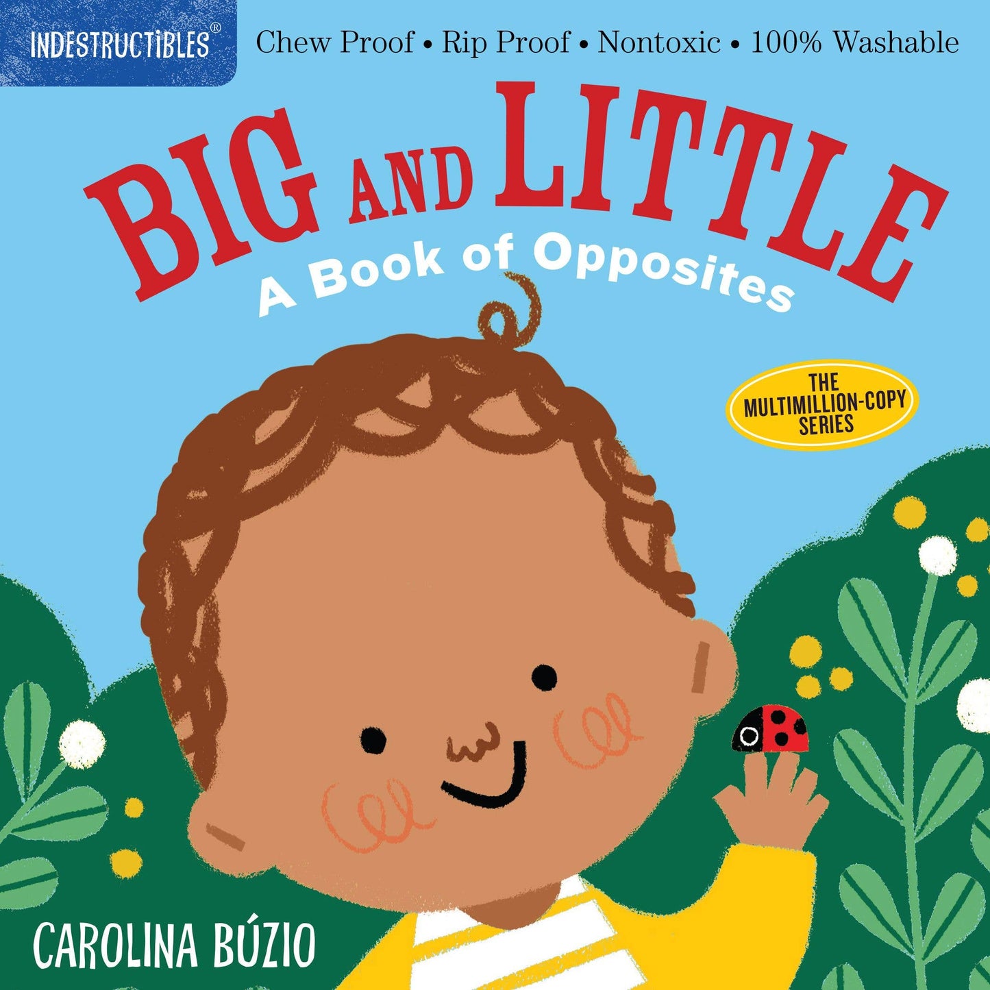 Indestructibles: Big and Little: A Book of Opposites: Trade Paperback