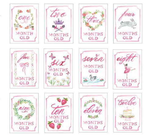Monthly Milestone Card Set: Pink - Persnickety Shop
