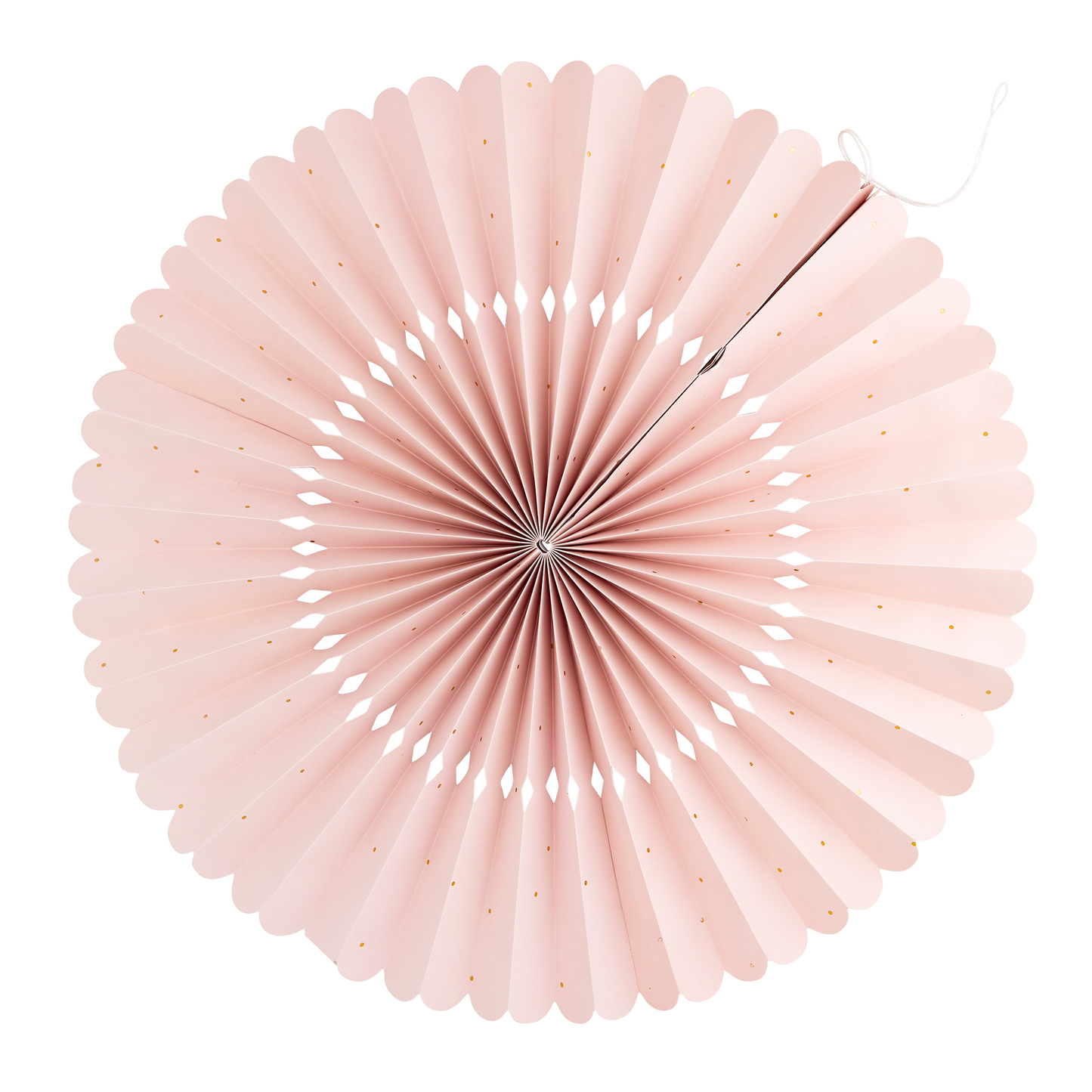 SEA1001 - Under the Sea Fan Set - Persnickety Shop