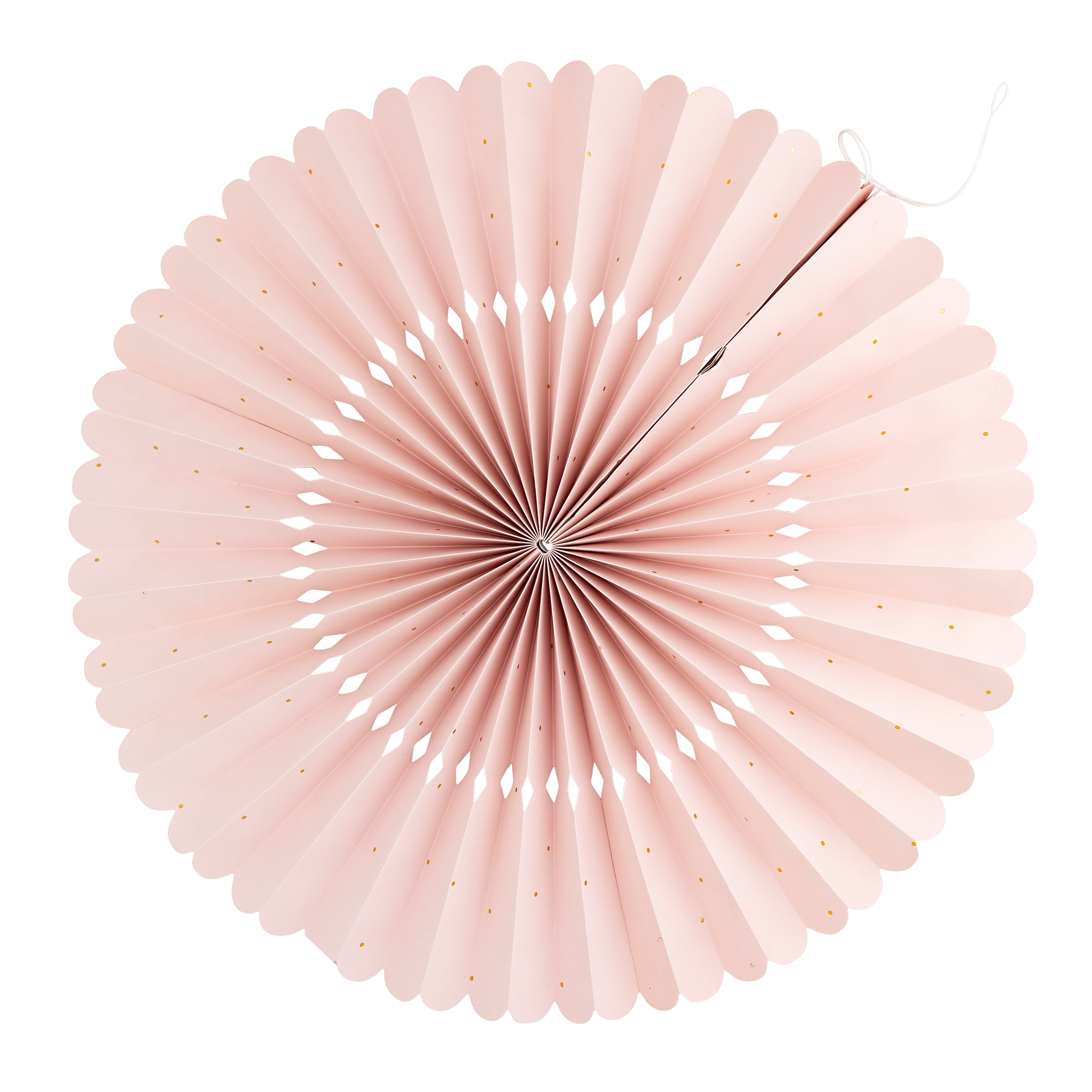 SEA1001 - Under the Sea Fan Set - Persnickety Shop