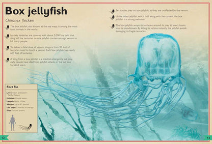 Magnificent Book of Dangerous Animals by Tom Jackson: Hardcover; 80 pages / English - Persnickety Shop