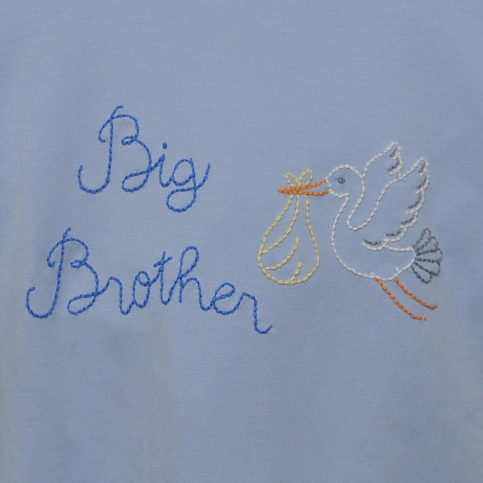 Houston Shirt-Big Brother w/Stork - Persnickety Shop