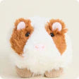 Warmies Guinea Pig Warmies Junior - Persnickety Shop