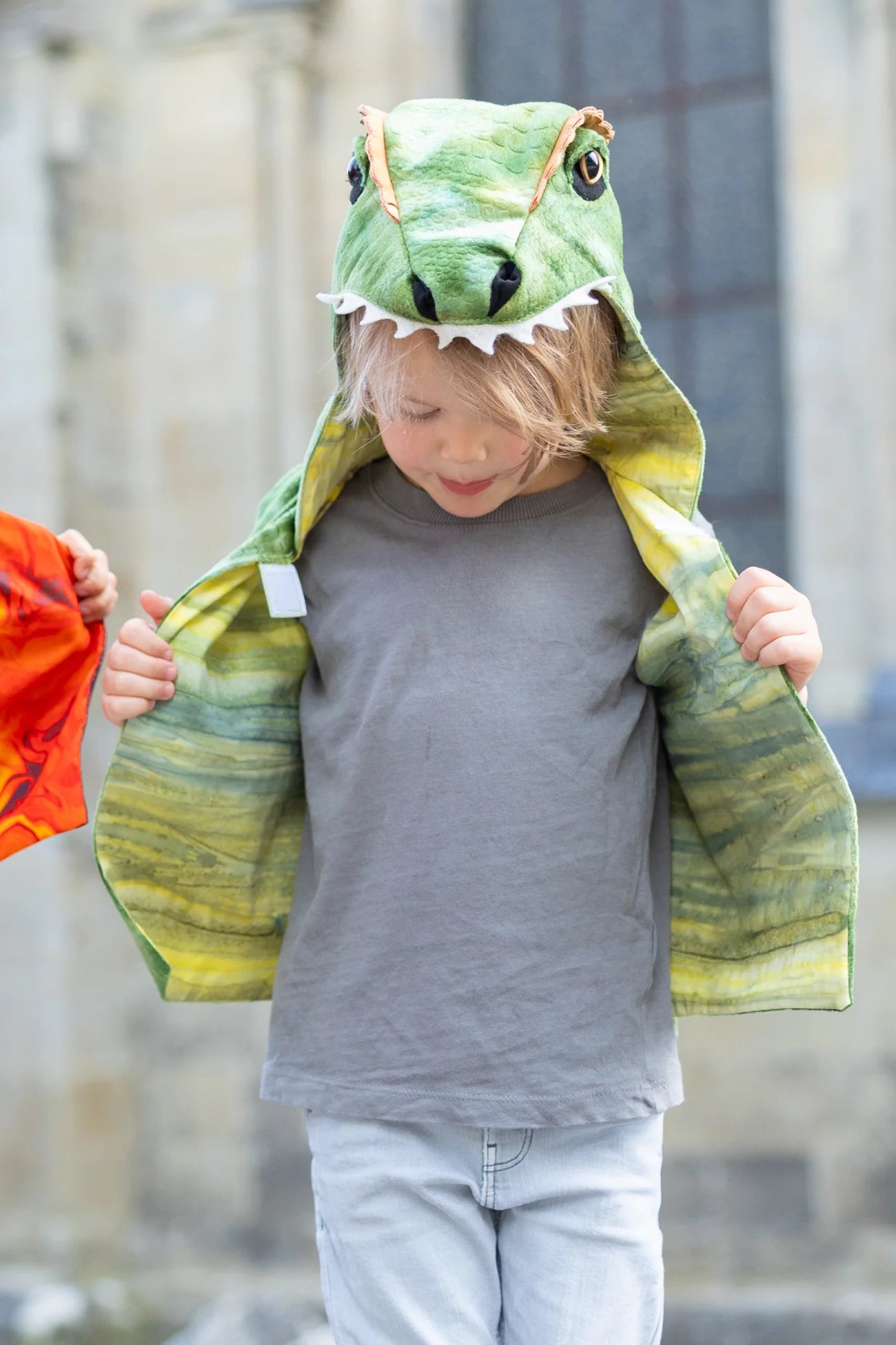 The All Day Everyday Dino Vest - Persnickety Shop