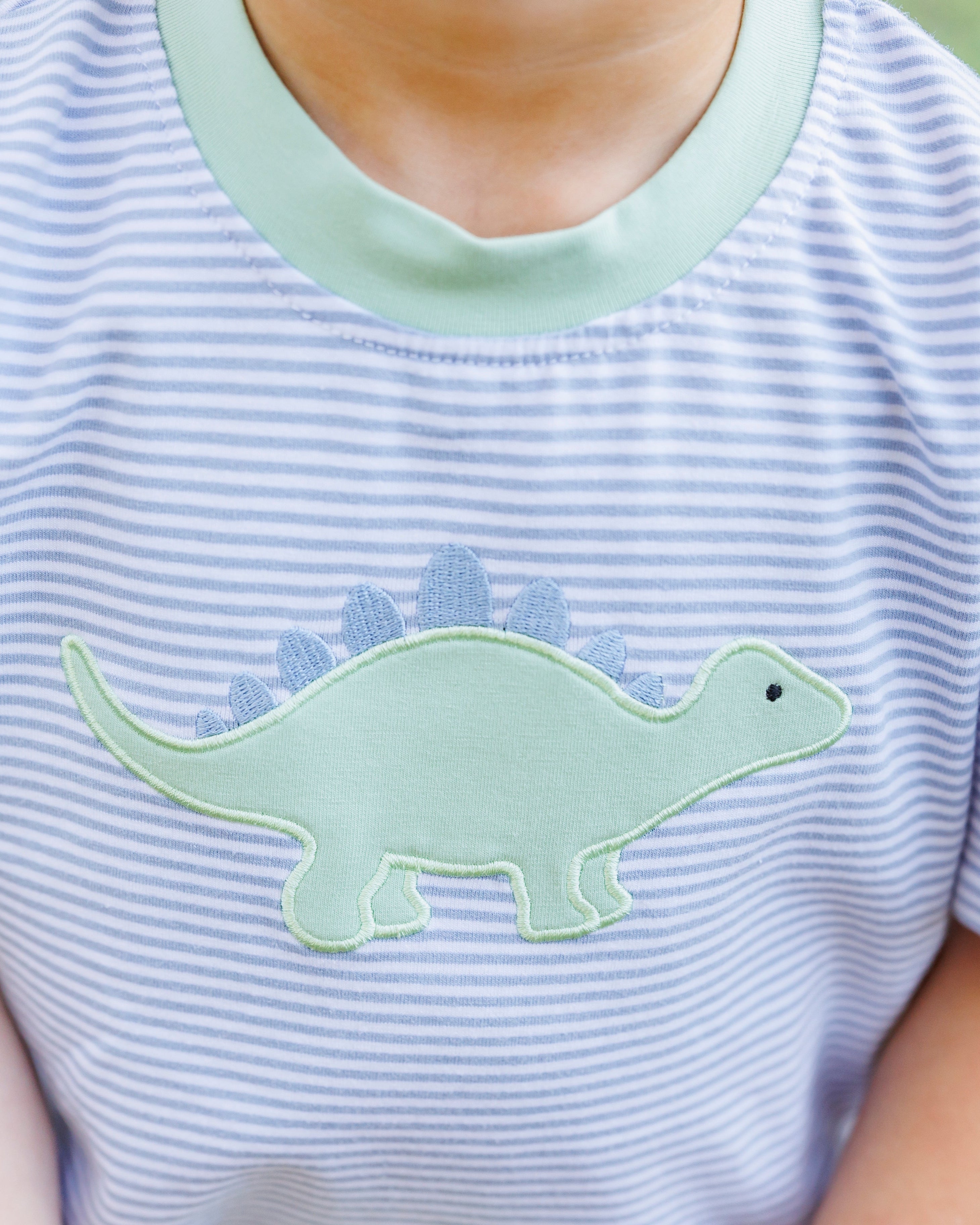 Dinosaur Short Set