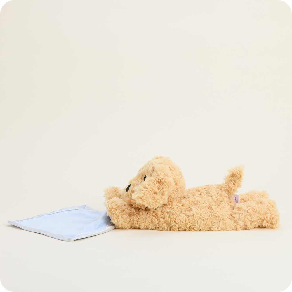 Golden Dog
Blanket Warmies - Persnickety Shop