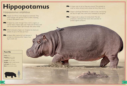 Magnificent Book of Dangerous Animals by Tom Jackson: Hardcover; 80 pages / English - Persnickety Shop