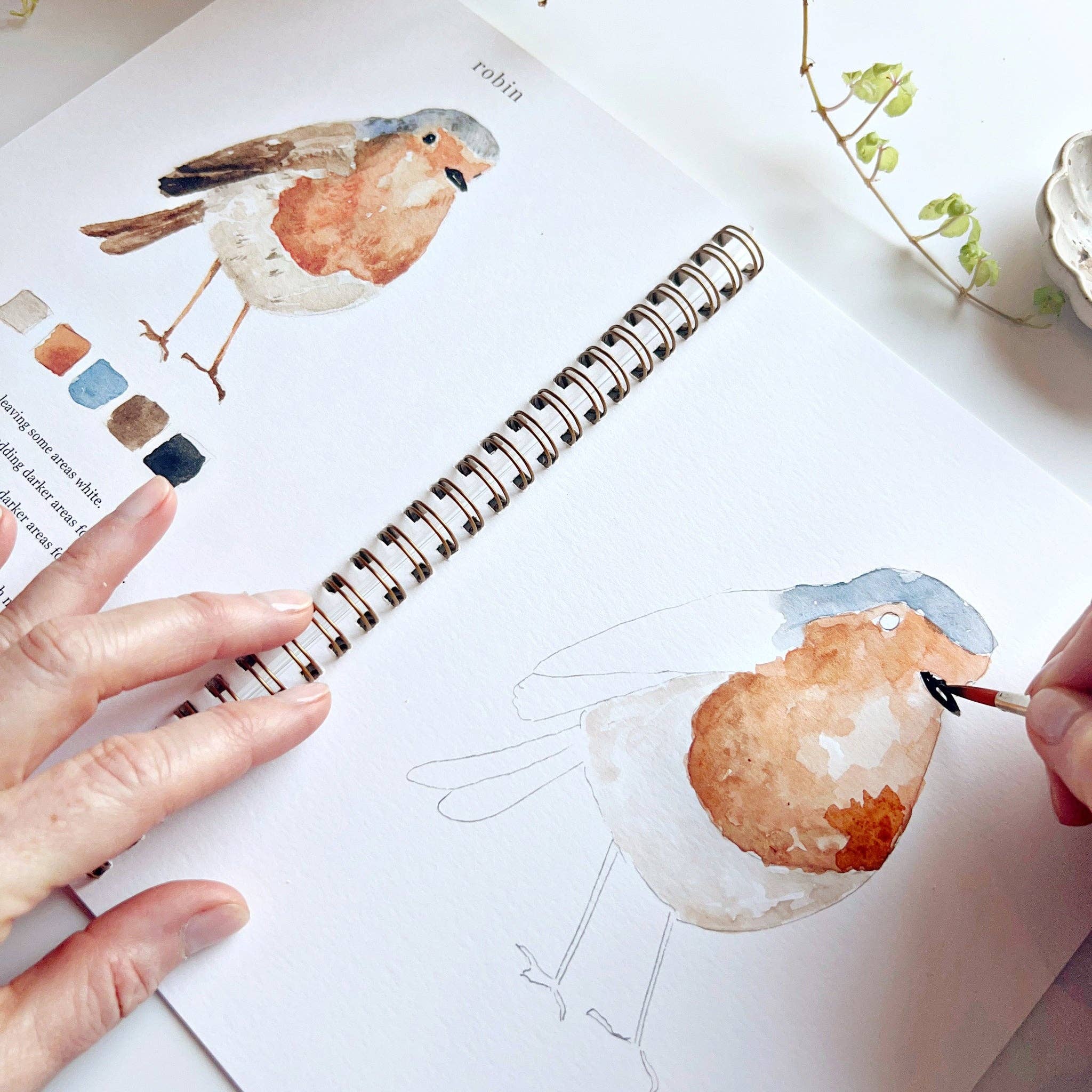 Birds watercolor workbook - Persnickety Shop