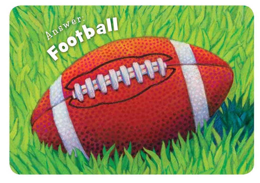 Little Football Board Book - Persnickety Shop