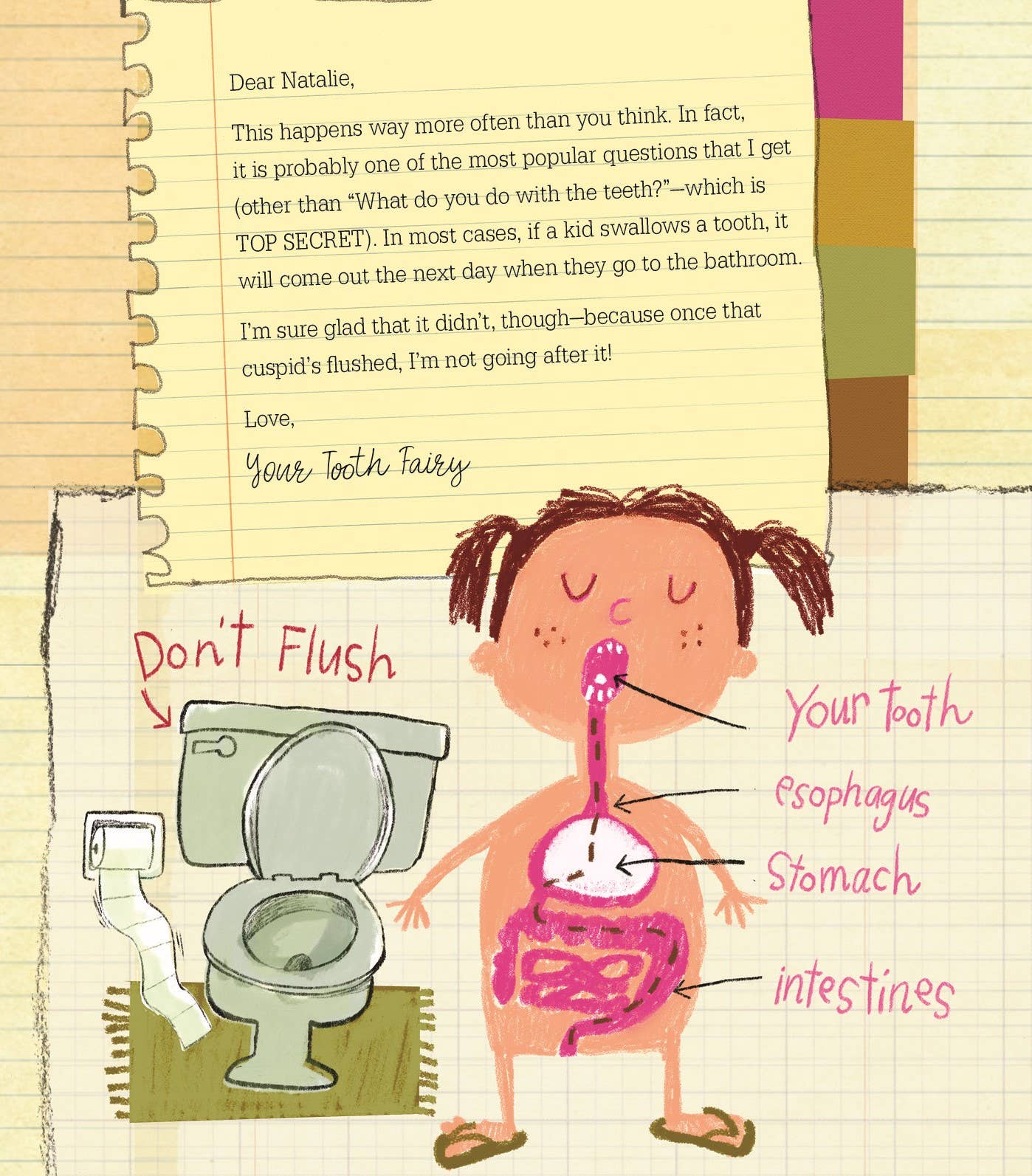 Letters from My Tooth Fairy Picture Book - Persnickety Shop