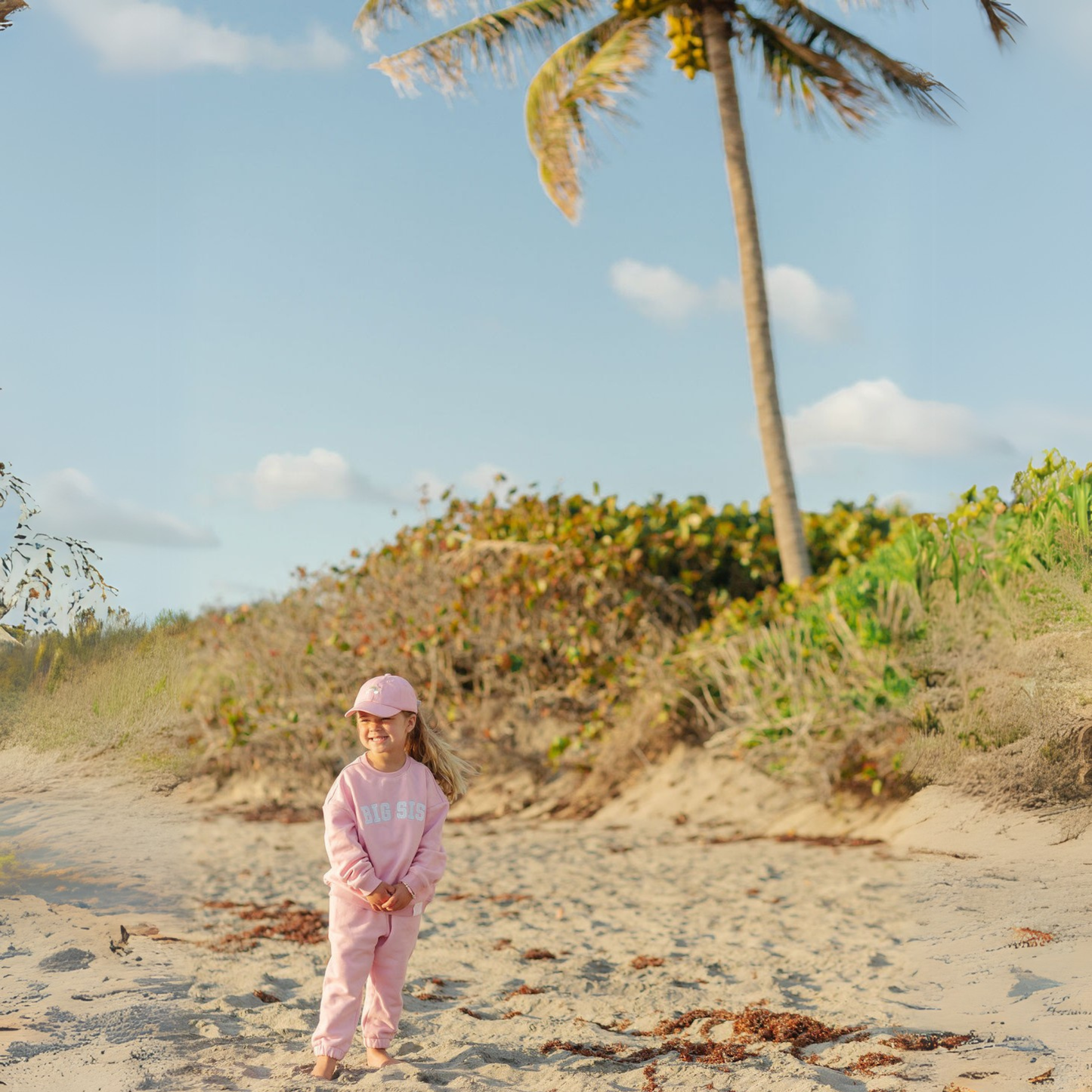 Big Sis Sweatshirt (sizes 12m - 8): 5-6 - Persnickety Shop