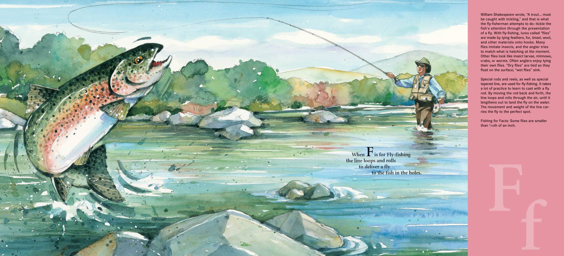H is for Hook: A Fishing Alphabet Picture Book - Persnickety Shop