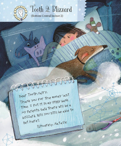 Letters from My Tooth Fairy Picture Book - Persnickety Shop