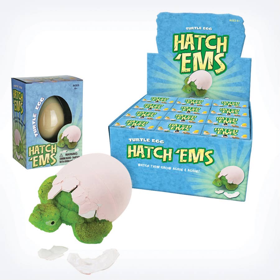 Turtles (Mini Hatch'ems) | Watch them Grow!