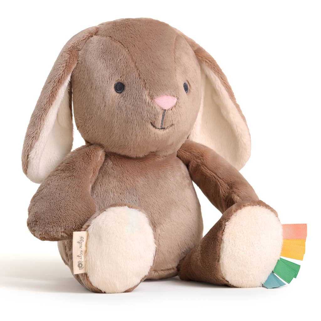Itzy Ritzy Snuggleverse® Plush: Goose