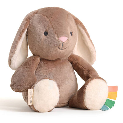 Itzy Ritzy Snuggleverse® Plush: Goose