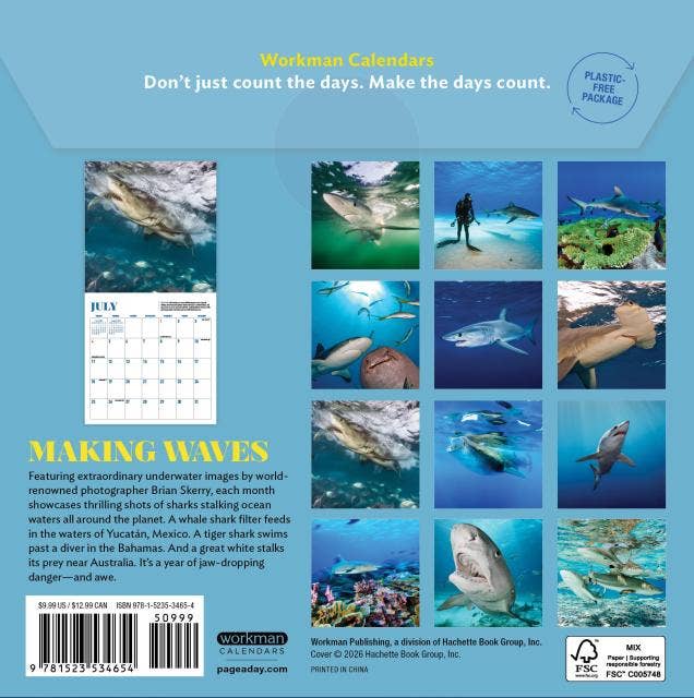 Shark Mini Wall Calendar 2027