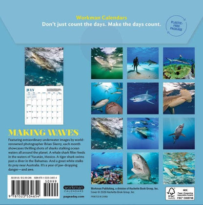 Shark Mini Wall Calendar 2027