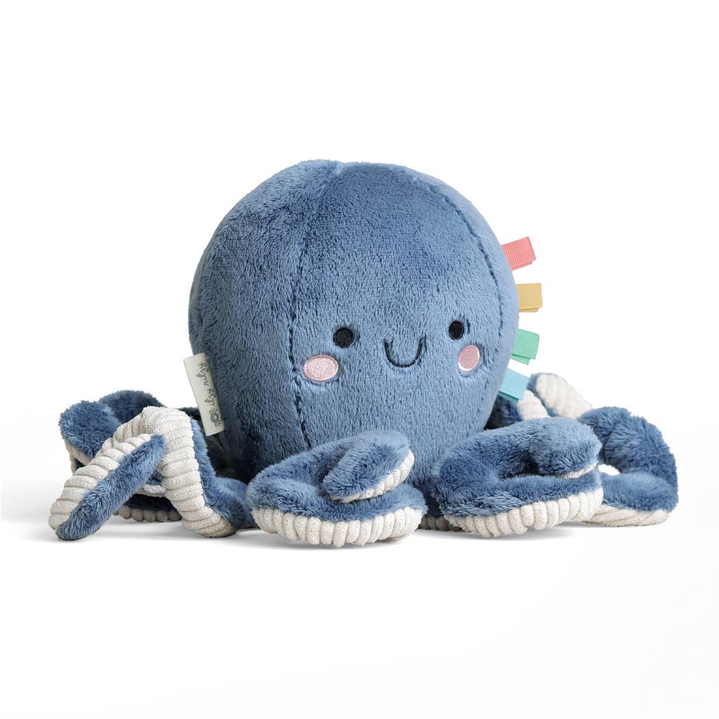 Itzy Ritzy Snuggleverse® Plush: Goose