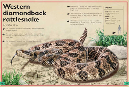 Magnificent Book of Dangerous Animals by Tom Jackson: Hardcover; 80 pages / English - Persnickety Shop