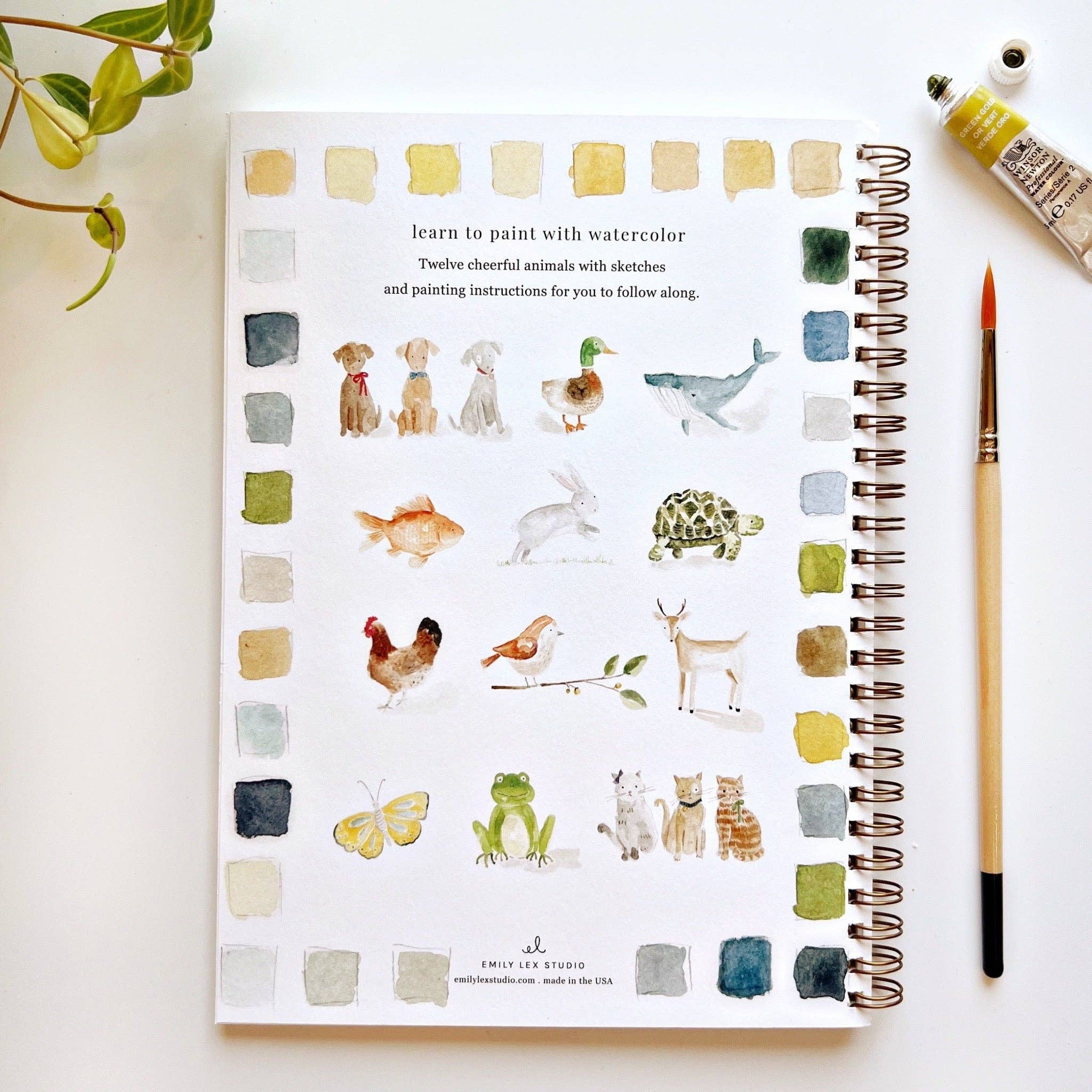 Animals watercolor workbook - Persnickety Shop