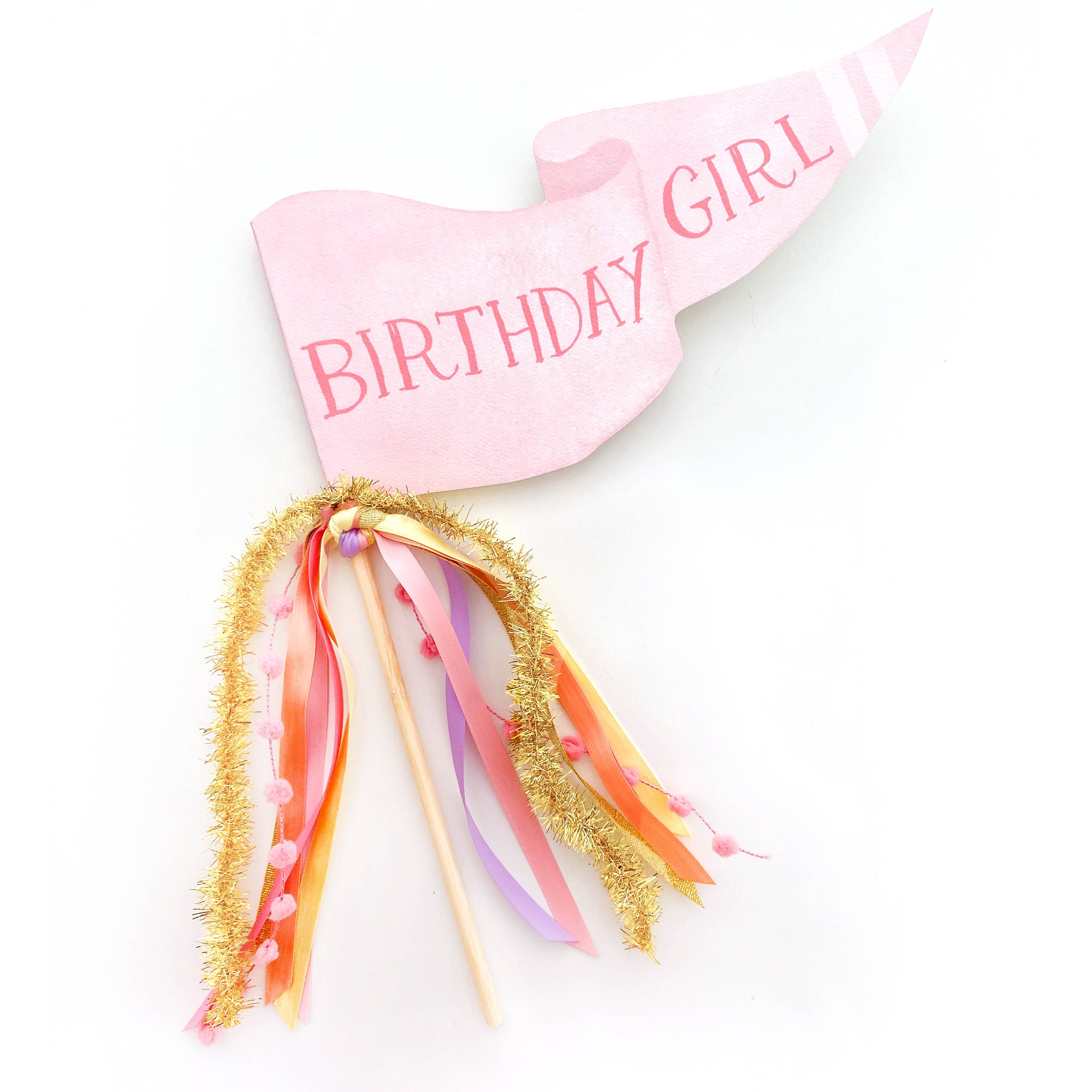 Cami Monet Birthday Girl Party Pennant