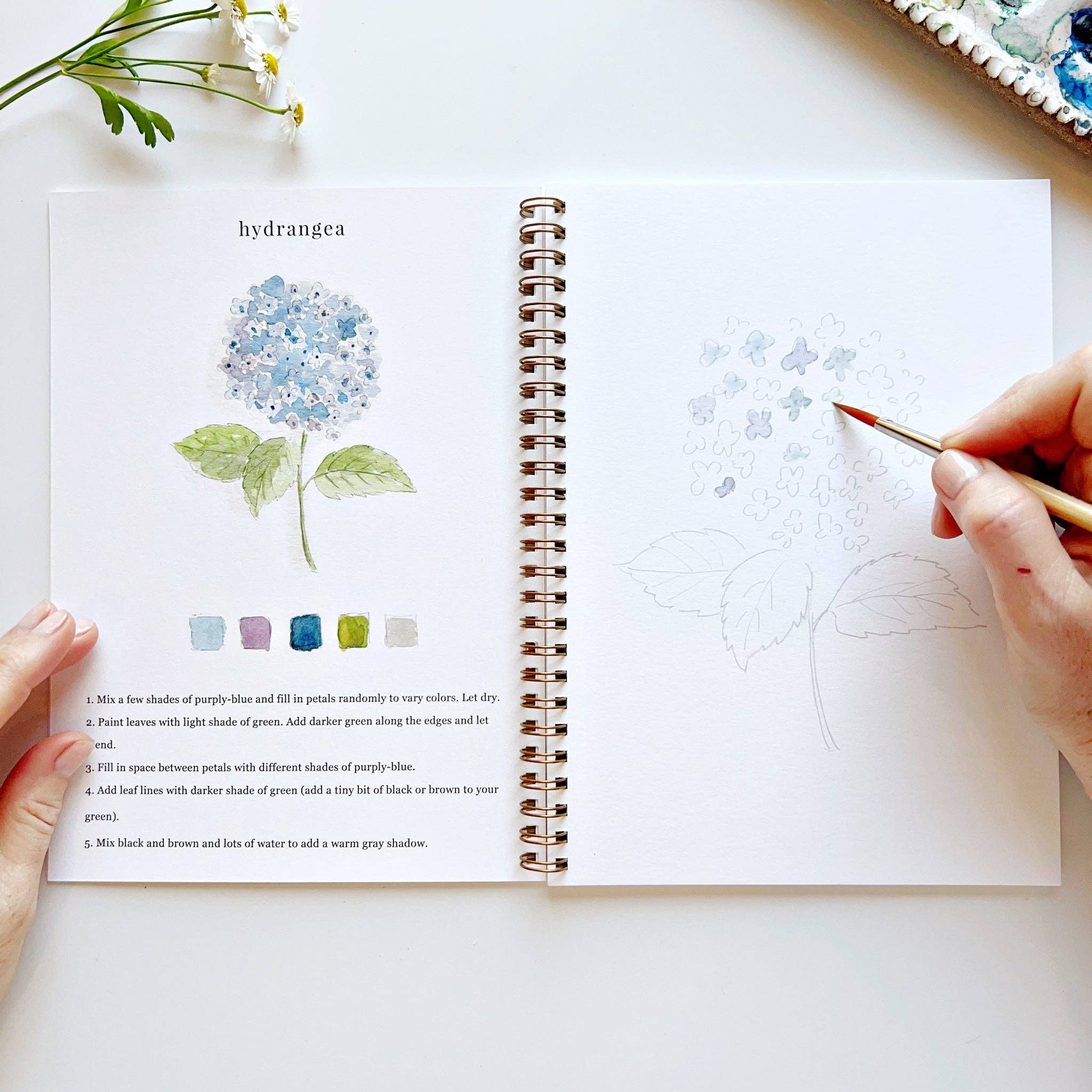 Flowers watercolor workbook - Persnickety Shop