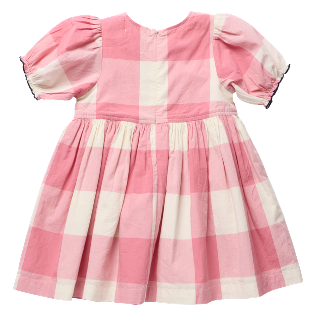 Pink Chicken Girls Herminone Dress - Pink Checks