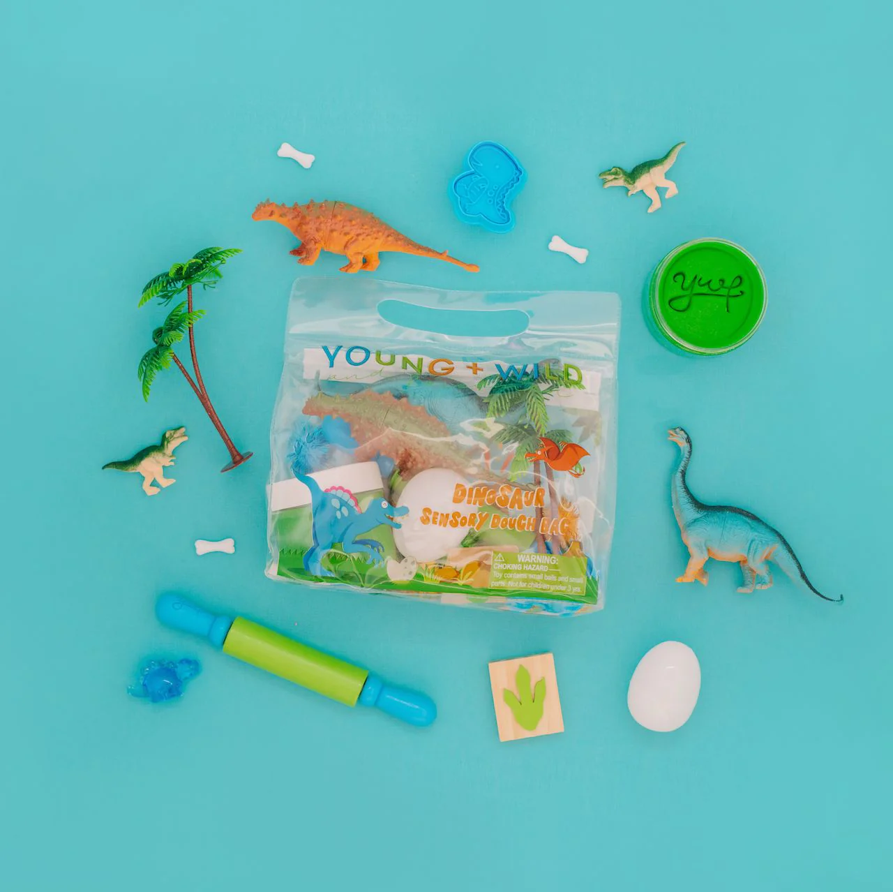 Sensory Dough Bag - Dinosaur - Persnickety Shop
