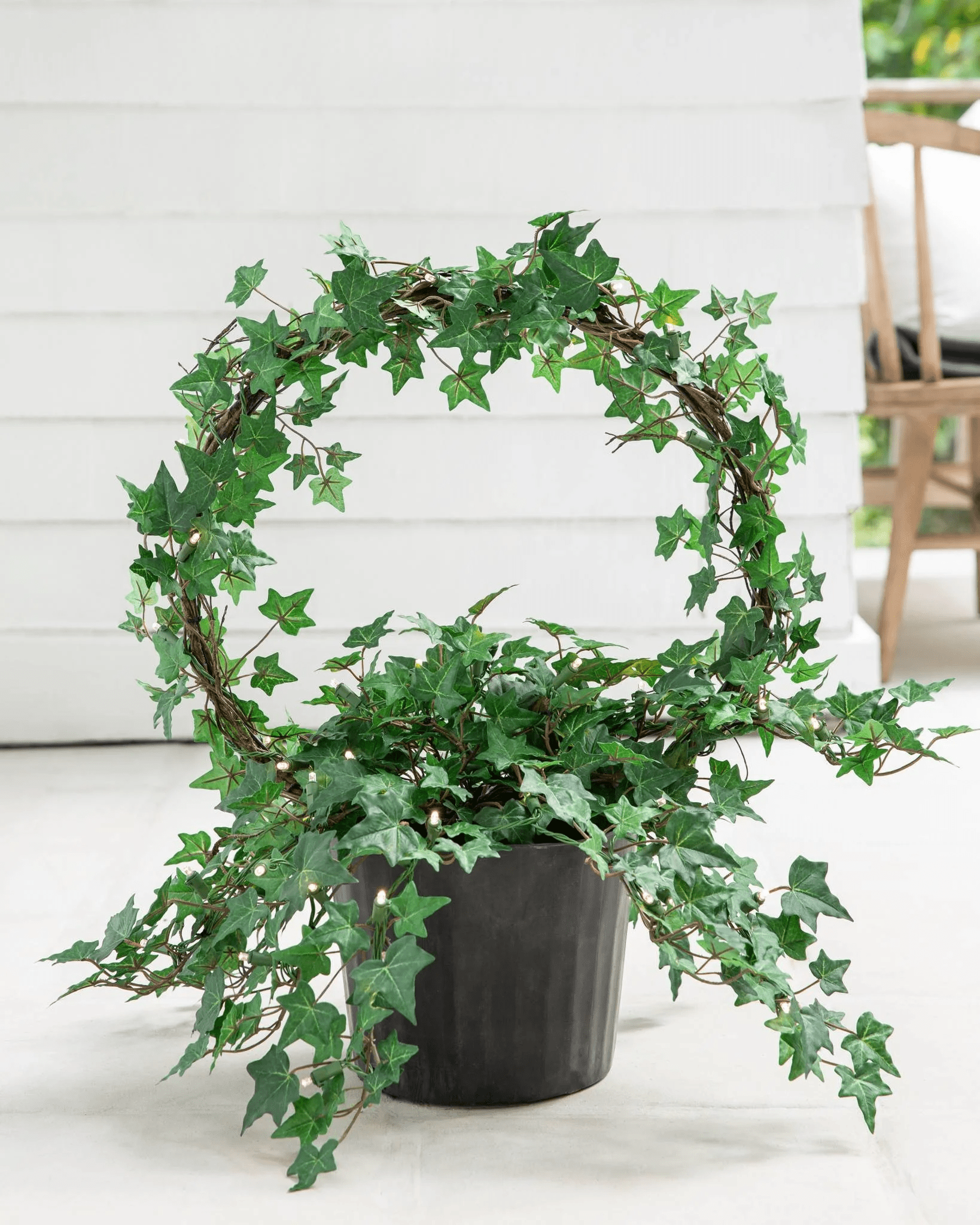 Single Ring Ivy Topiary 16" Diameter - Persnickety Shop