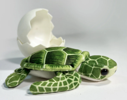 Sea Turtle Hatchling Individual Eggs - Persnickety Shop
