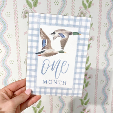 Hamner Hill Flyin' South Milestone Cards - Persnickety Shop