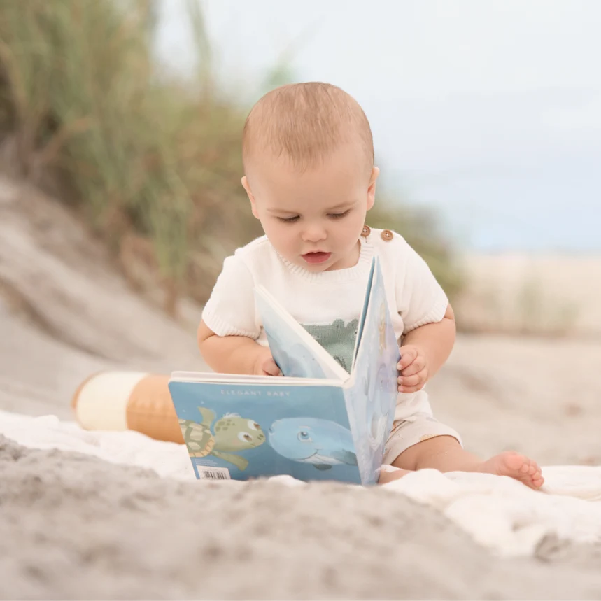 AN OCEAN ADVENTURE BOARD BOOK