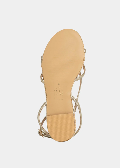 SHU SHOP DANA MINI Gold - Persnickety Shop