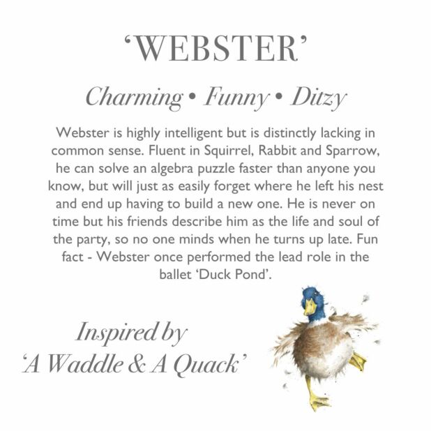 'WEBSTER' DUCK CHARACTER Plush - Persnickety Shop