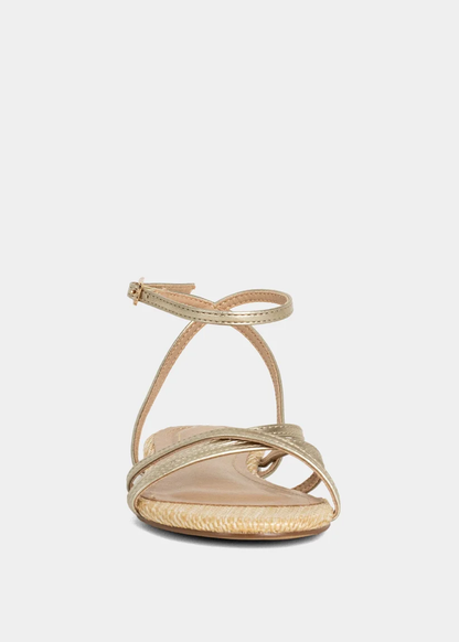 SHU SHOP DANA MINI Gold - Persnickety Shop