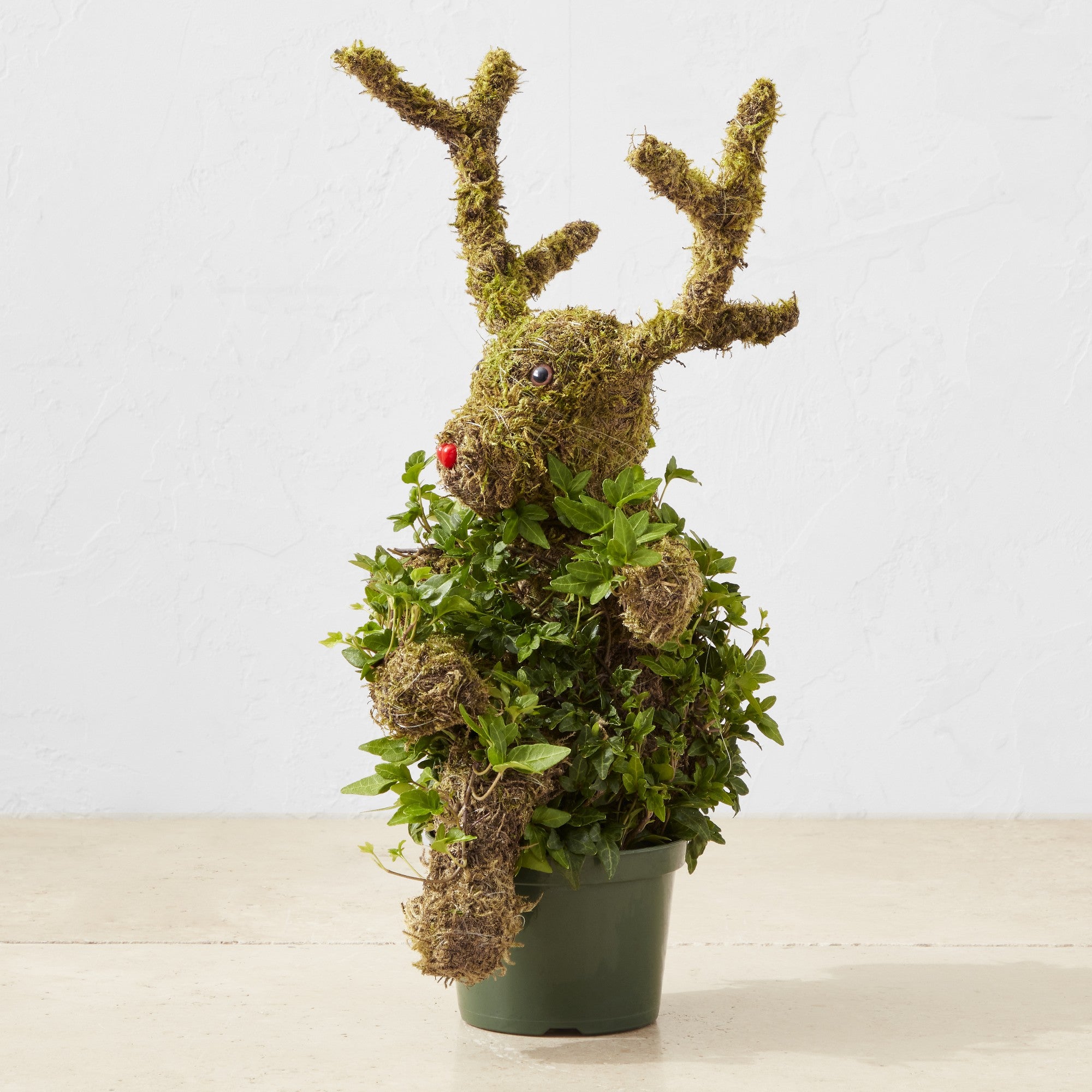 Ivy & Moss Sitting Reindeer Topiary - Persnickety Shop