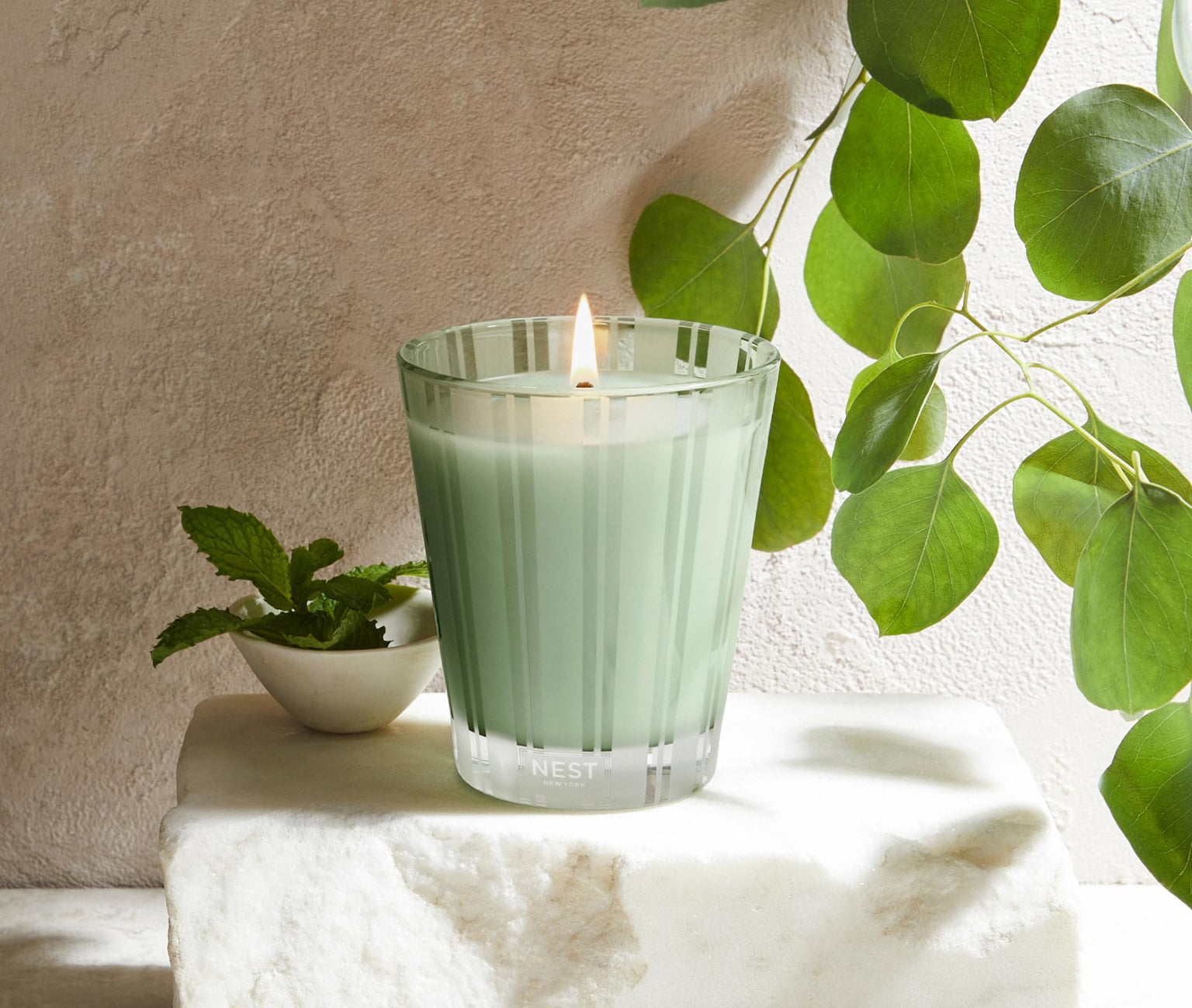 Wild Mint & EucalyptusClassic Candle 8.1 OZ