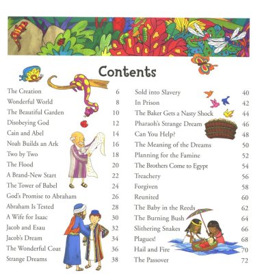 THE ILLUSTRATED BIBLE FOR LITTLE ONES - Persnickety Shop