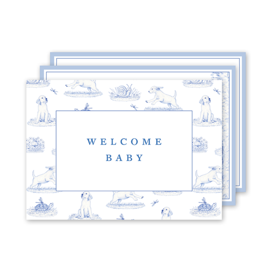 SNIPS AND SNAILS BABY MILESTONE CARDS - Persnickety Shop