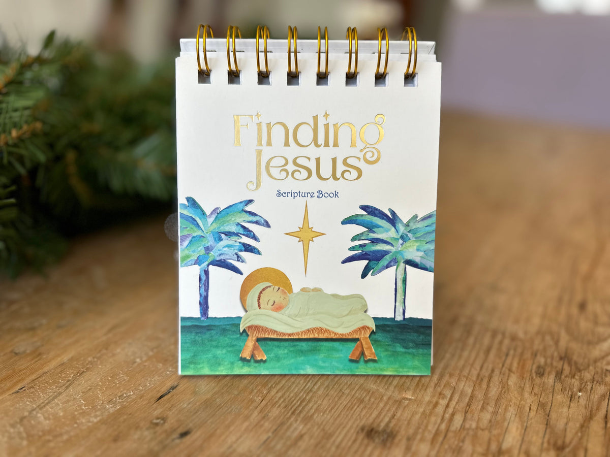 Finding Jesus Countdown to Christmas Kit for Families Puzzle Book Box Set