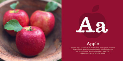 MY FIRST HOMESTEAD ABCS - Persnickety Shop