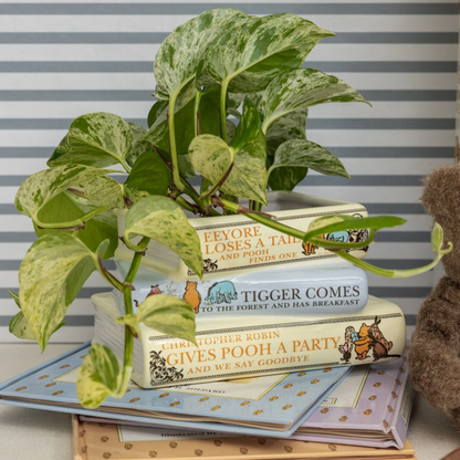 STACKED BOOK PLANTER, THE HOUSE AT POOH CORNER - Persnickety Shop