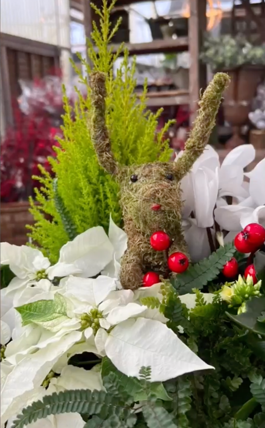 REINDEER MOSS PICK - Persnickety Shop