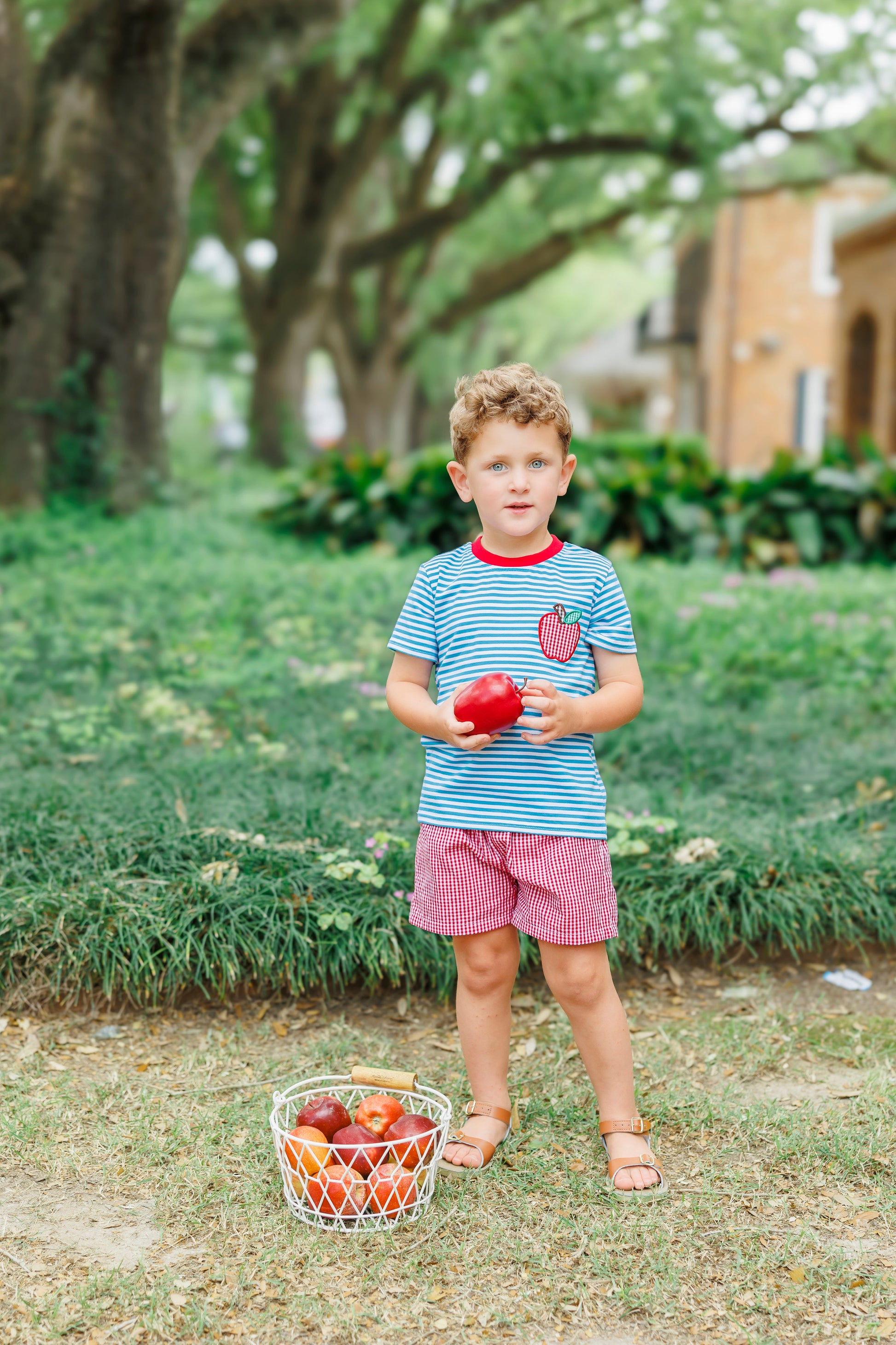 Apple Pocket Applique Short Set - Persnickety Shop